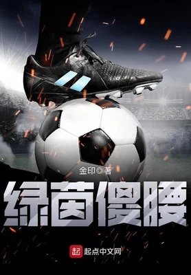 绿茵傻腰（校对版全本） 封面