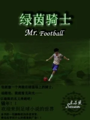 绿茵骑士（校对版全本） 封面