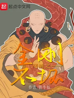 网游之金刚不坏（校对版全本） 封面