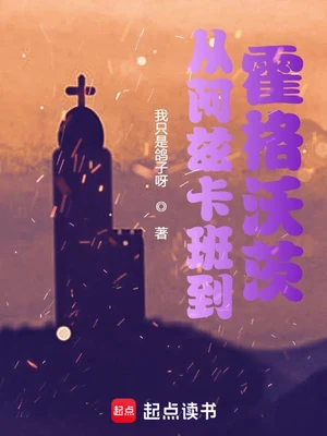 从阿兹卡班到霍格沃茨（校对版全本） 封面