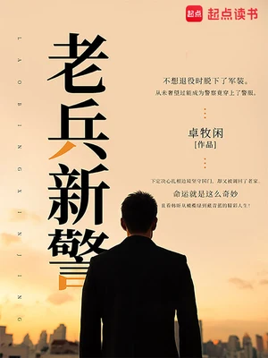 老兵新警(校对版全本) 封面