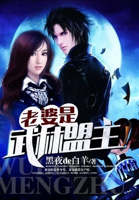 老婆是武林盟主（校对版全本） 封面