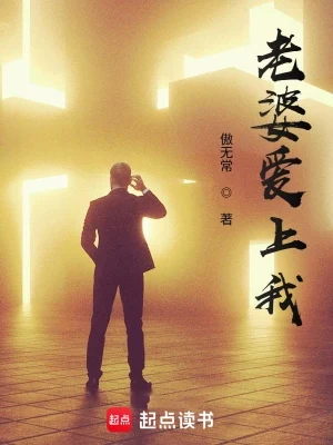 老婆爱上我(校对版全本) 封面