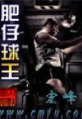 肥仔球王（校对版全本） 封面
