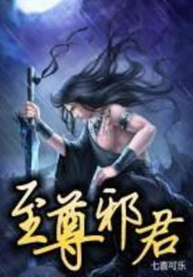 至尊邪君（校对版全本） 封面