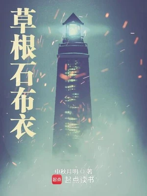 草根石布衣（校对版全本） 封面