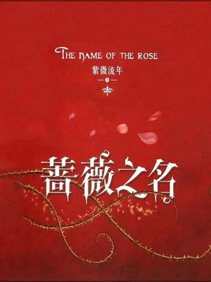 蔷薇之名(校对版全本) 封面