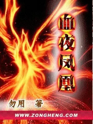 血夜凤凰（校对版全本） 封面