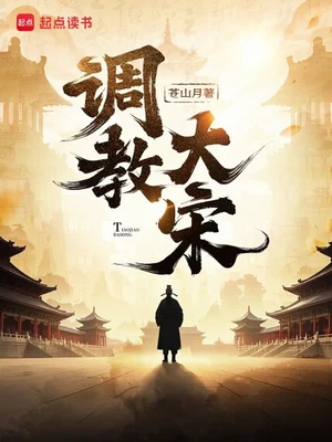 调教大宋(校对版全本) 封面