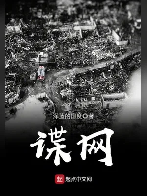 谍网（校对版全本） 封面