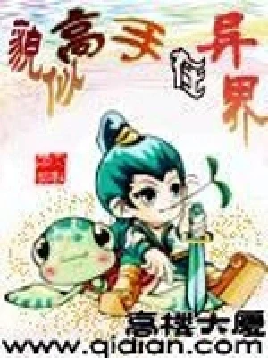 貌似高手在异界(校对版全本) 封面