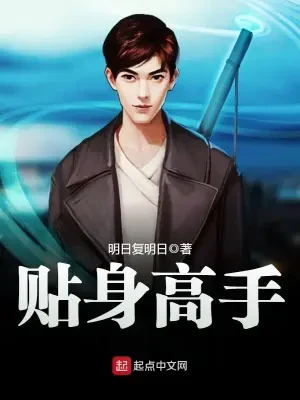 贴身高手(校对版全本) 封面