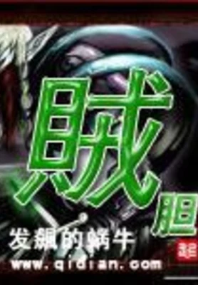 贼胆(校对版全本) 封面