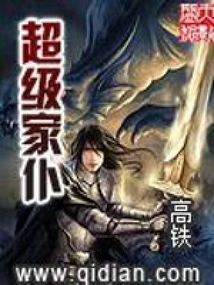 超级家仆（校对版全本） 封面