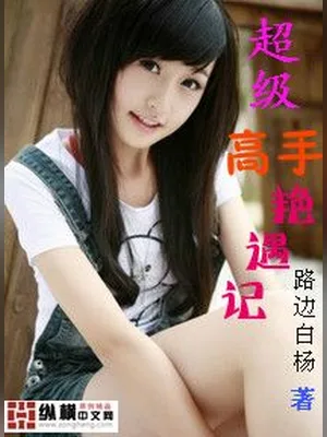 超级高手艳遇记（校对版全本） 封面