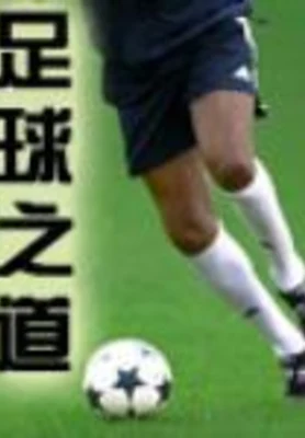 足球之道(校对版全本) 封面