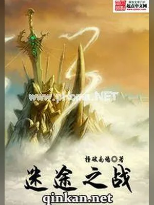 迷途之战（校对版全本） 封面