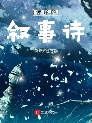 迷途的叙事诗（校对版全本） 封面