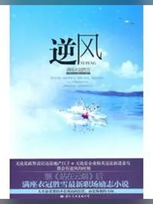 逆风(校对版全本) 封面