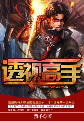 透视高手(校对版全本) 封面