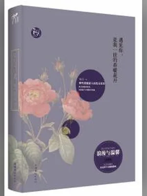遇见你,是我一世的春暖花开(实体版全本) 封面