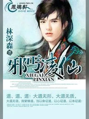 邪丐凌仙（校对版全本） 封面