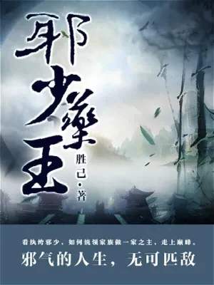 邪少药王（校对版全本） 封面
