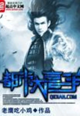 都市大高手（校对版全本） 封面