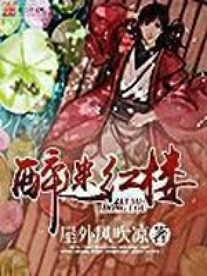 醉迷红楼（校对版全本） 封面