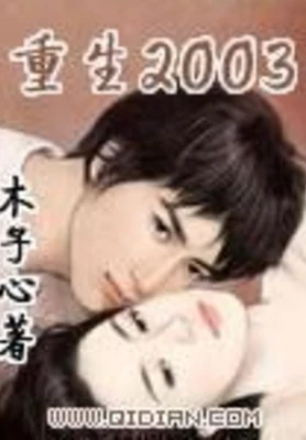 重生2003（校对版全本） 封面