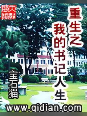重生之我的书记人生（校对版全本+后记） 封面
