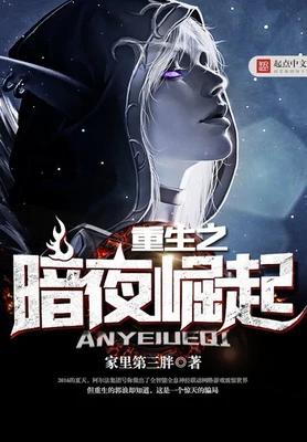 重生之暗夜崛起（校对版全本） 封面