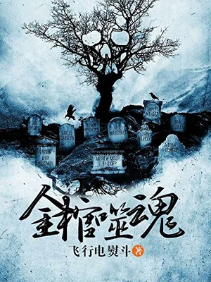 金棺噬魂（校对版全本） 封面