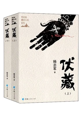伏藏（实体版全本） 封面