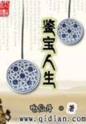 鉴宝人生（校对版全本） 封面