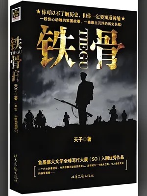 铁骨(校对版全本) 封面