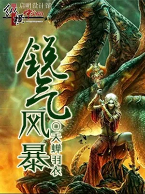 锐气风暴（校对版全本） 封面