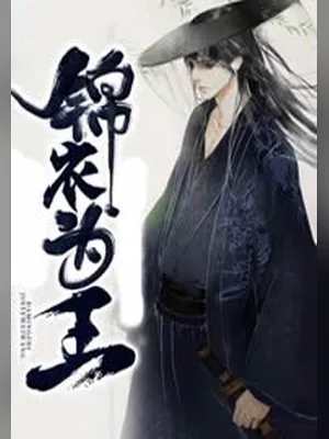 锦衣为王(校对版全本) 封面