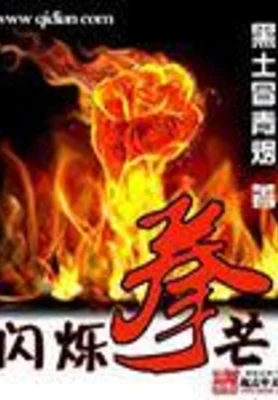 闪烁拳芒（校对版全本） 封面