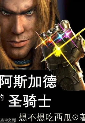 阿斯加德的圣骑士（校对版全本） 封面