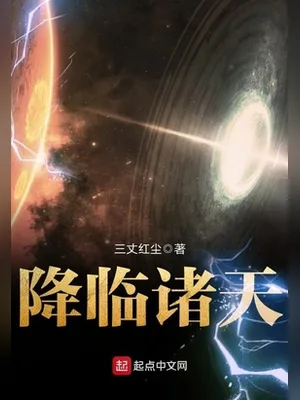 降临诸天（校对版全本） 封面