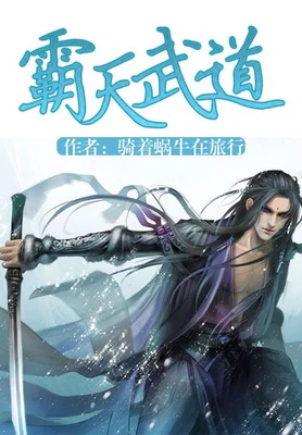 霸天武道（校对版全本） 封面