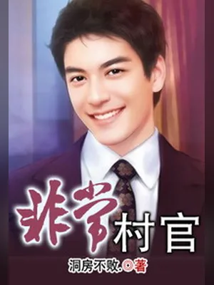 非常村官（校对版全本） 封面