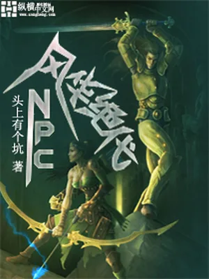 风华绝代NPC（校对版全本） 封面