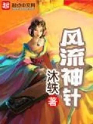 风流神针（校对版全本） 封面