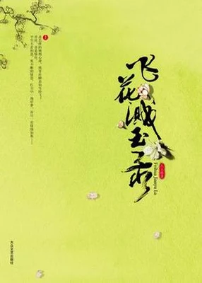 飞花溅玉录（校对版全本） 封面