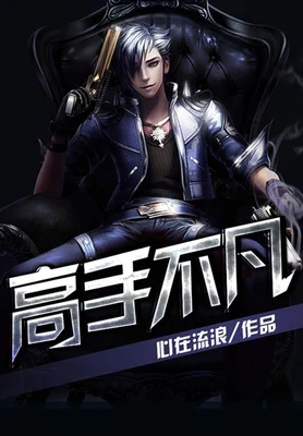 高手不凡(校对版全本) 封面