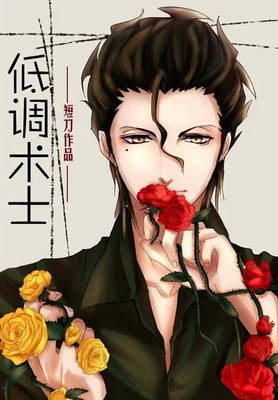 低调术士（校对版全本） 封面