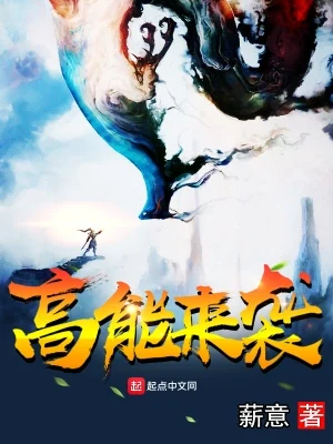 高能来袭（校对版全本） 封面