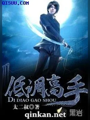 低调高手(校对版全本) 封面